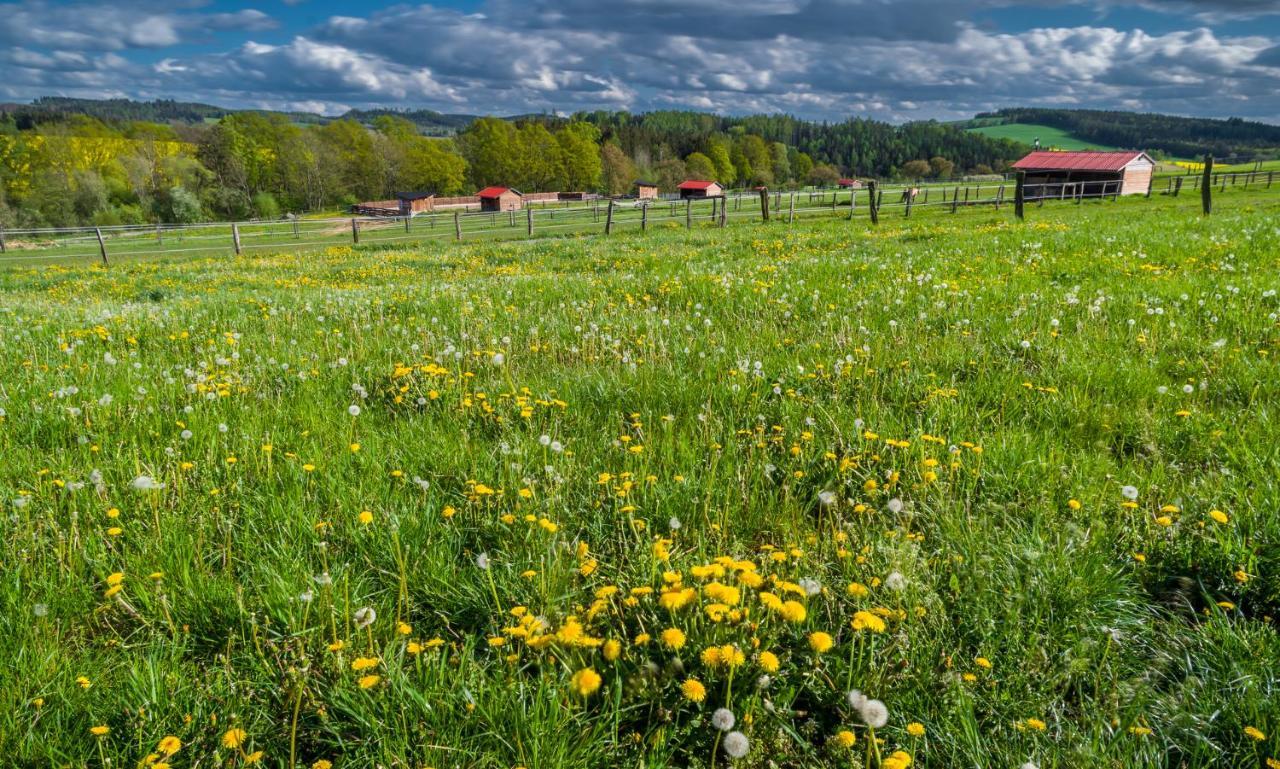 Ranch Jestrebice Hotell Hermanicky Exteriör bild